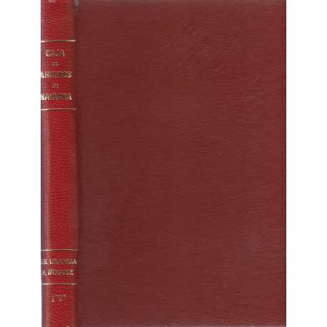 Arte medieval navarro. Volumen IV. Arte gótico