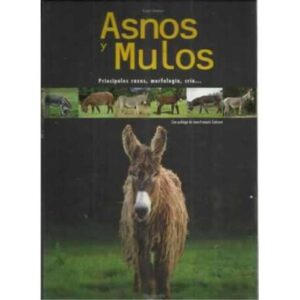 Asnos y mulos. Principales razas, morfología, cría...