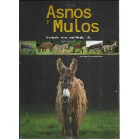 Asnos y mulos. Principales razas, morfología, cría...