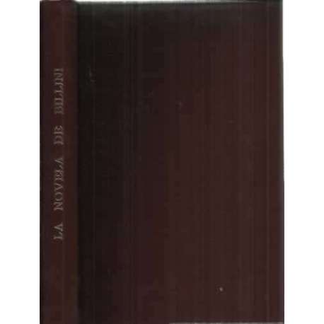 Bani y la novela de Billini