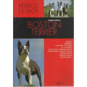 Boston terrier