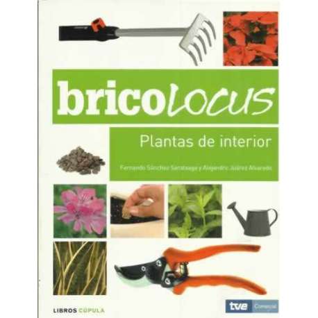 Bricolocus. Plantas de interior