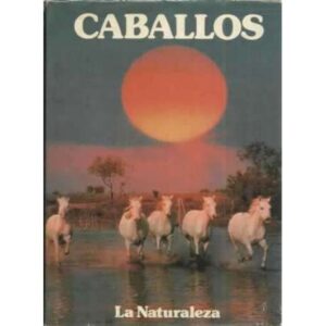Caballos. La naturaleza