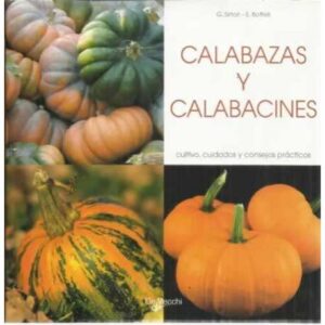 Calabazas y calabacines. Cultivo, cuidados y consejos prácticos