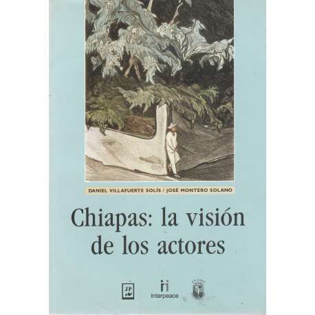 Chiapas: la visión de los actores
