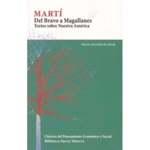 Del Bravo a Magallanes. Textos sobre Nuestra América