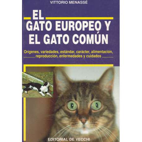 El gato europeo y el gato común