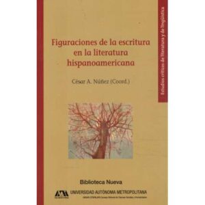 Figuraciones de la escritura en la literatura hispanoamericana