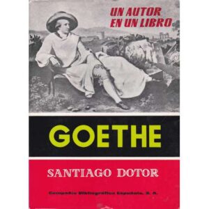 Goethe. Un autor en un libro