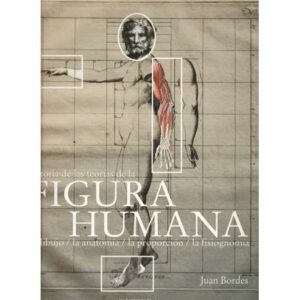 Historia de las teorías de la figura humana