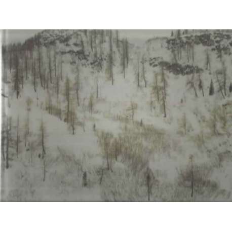 Jim Cooke. Re-placing Arcadia