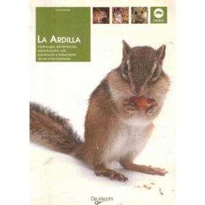 La ardilla