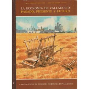 La economía de Valladolid: pasado, presente y futuro