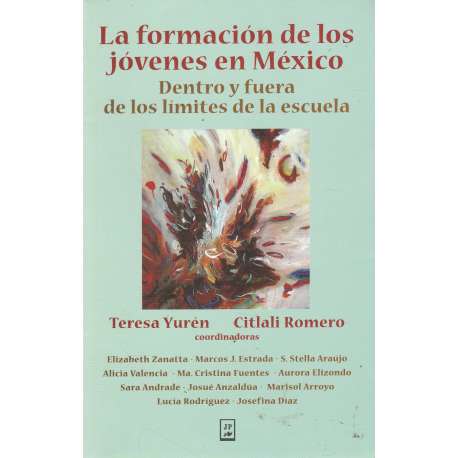 La formación de los jóvenes en México. Dentro y fuera de los límites de la escuela