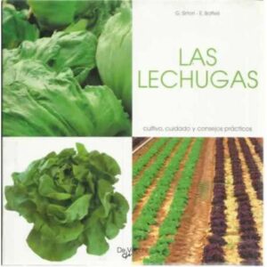 Las lechugas. Cultivo, cuidado y consejos prácticos