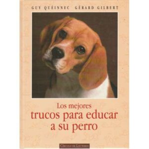 Los mejores trucos para educar a su perro