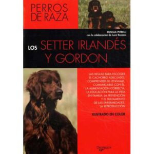 Los Setter Irlandés y Gordon