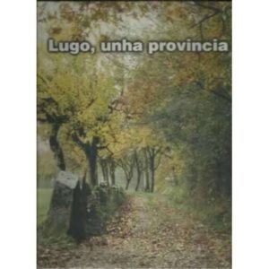 Lugo, unha provincia
