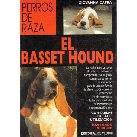 Perros de raza. El basset hound
