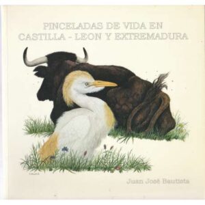 Pinceladas de vida en Castilla - León y Extremadura