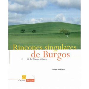 Rincones singulares de Burgos. VII del Arlanzón al Pisuerga