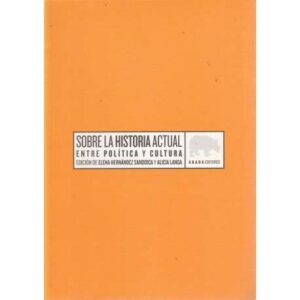 Sobre la historia actual. Entre política y cultura