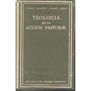 Teología de la acción pastoral