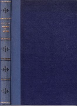 Historia de un año