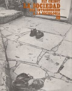La sociedad. Una introducción a la sociología