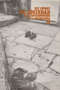 La sociedad. Una introducción a la sociología