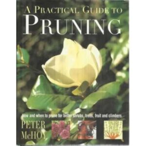 A practical guide to pruning
