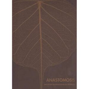 Anastomosis. Encuentro multidisciplinar de creadores