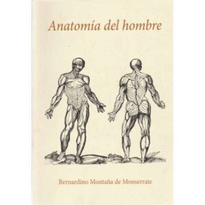 Anatomía del hombre