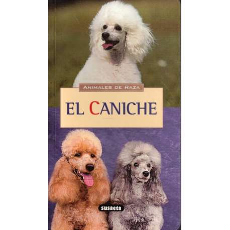 Animales de raza. El caniche