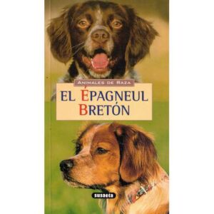 Animales de raza. El épagneul bretón