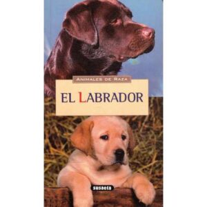 Animales de raza. El labrador