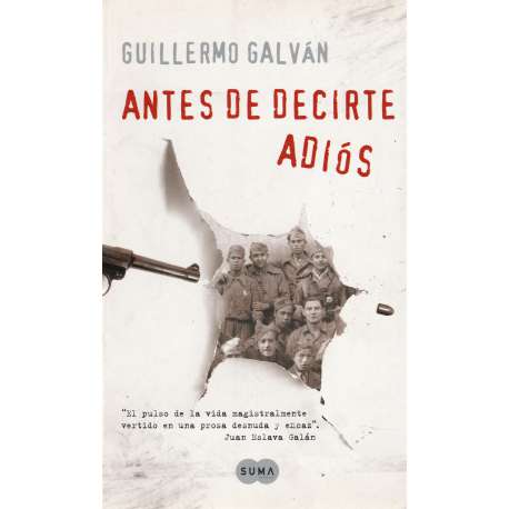 Antes de decirte adiós