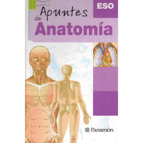 Apuntes de anatomía