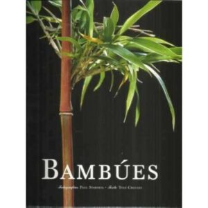 Bambúes