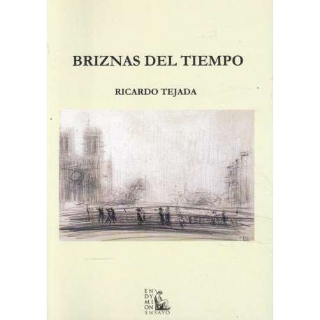 Briznas del tiempo