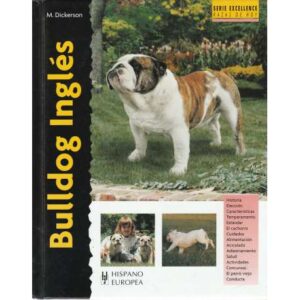 Bulldog inglés