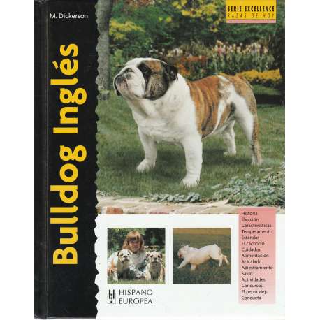 Bulldog inglés