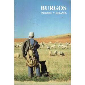 Burgos. Pastores y rebaños