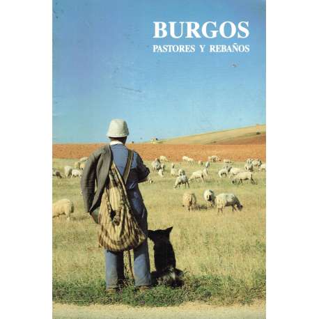 Burgos. Pastores y rebaños