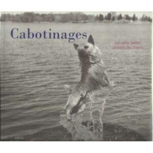 Cabotinages. Les plus belles photos de chiens