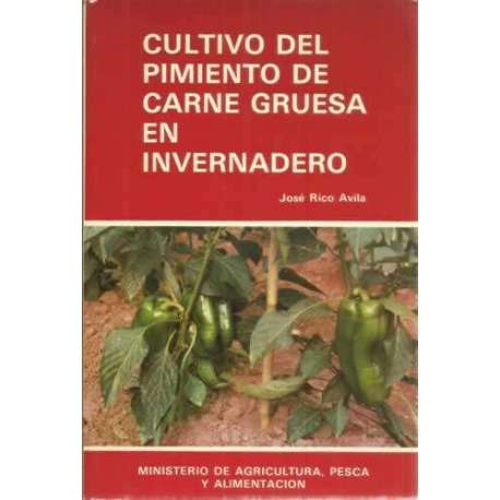 Cultivo del pimiento de carne gruesa en invernadero
