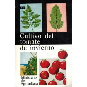 Cultivo del tomate de invierno