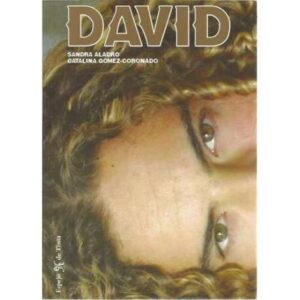 David Bisbal. Increible