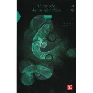De la brújula al espín: el magnetismo