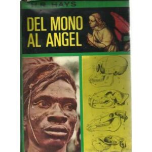 Del mono al ángel